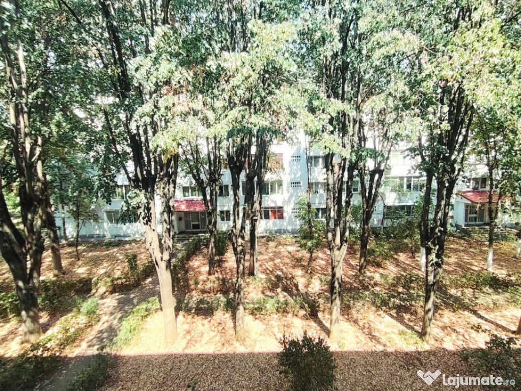 Apartament 3 camere