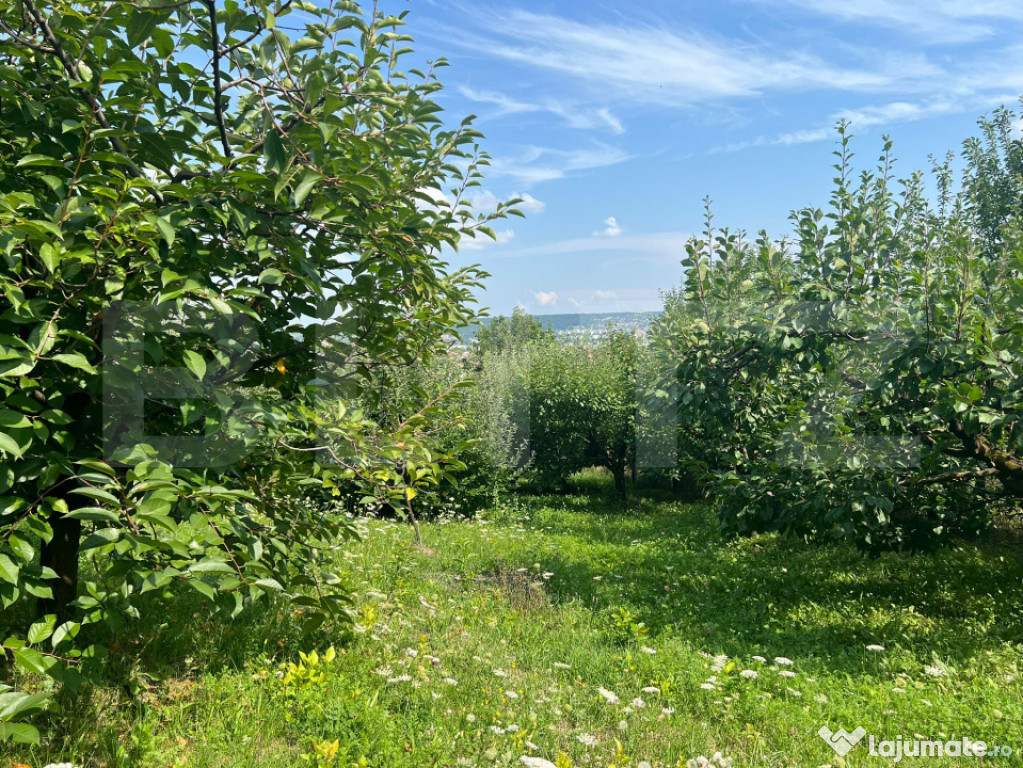 Teren intravilan 1418 mp Sâncraiu de Mureș – panoramă o
