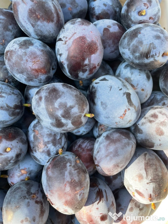 Prune pentru magiun și compot