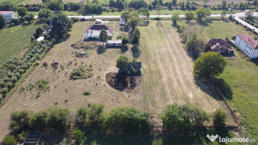 Teren intravilan de 10 614 mp cu deschidere de 59 m – B...