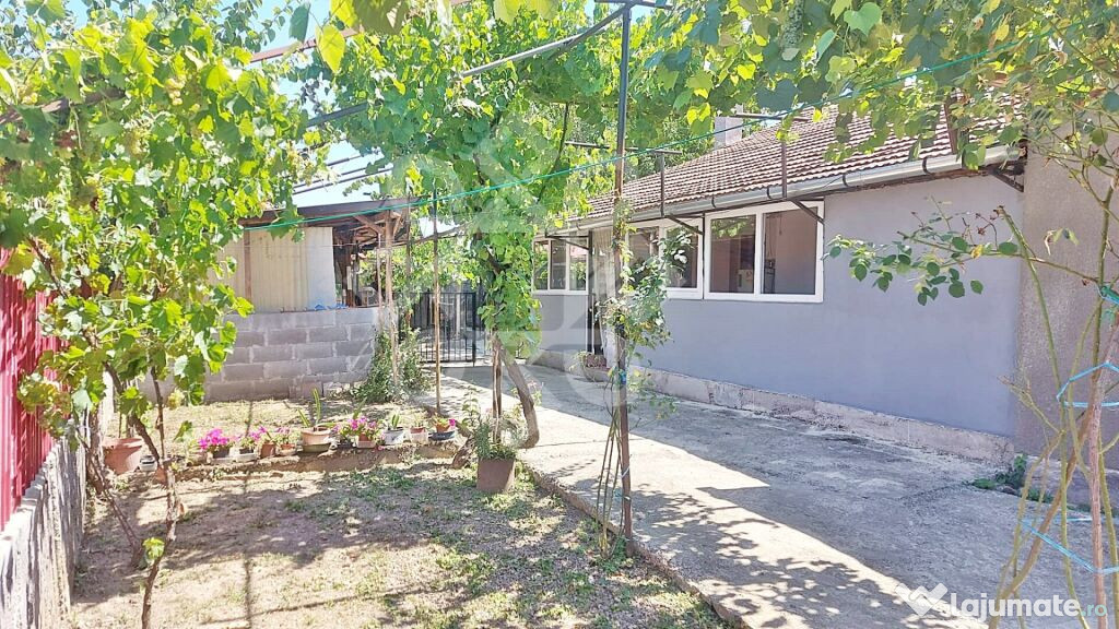 Casa cu teren in Tinca
