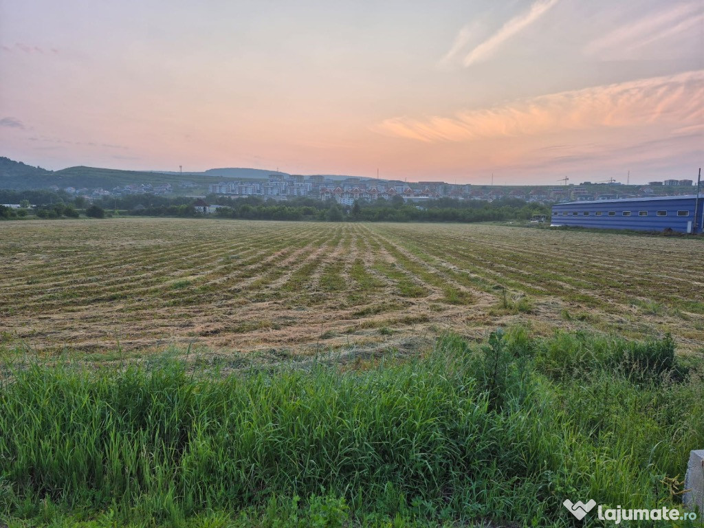 Teren intravilan de vânzare – Calea Baciului – 5.000 mp