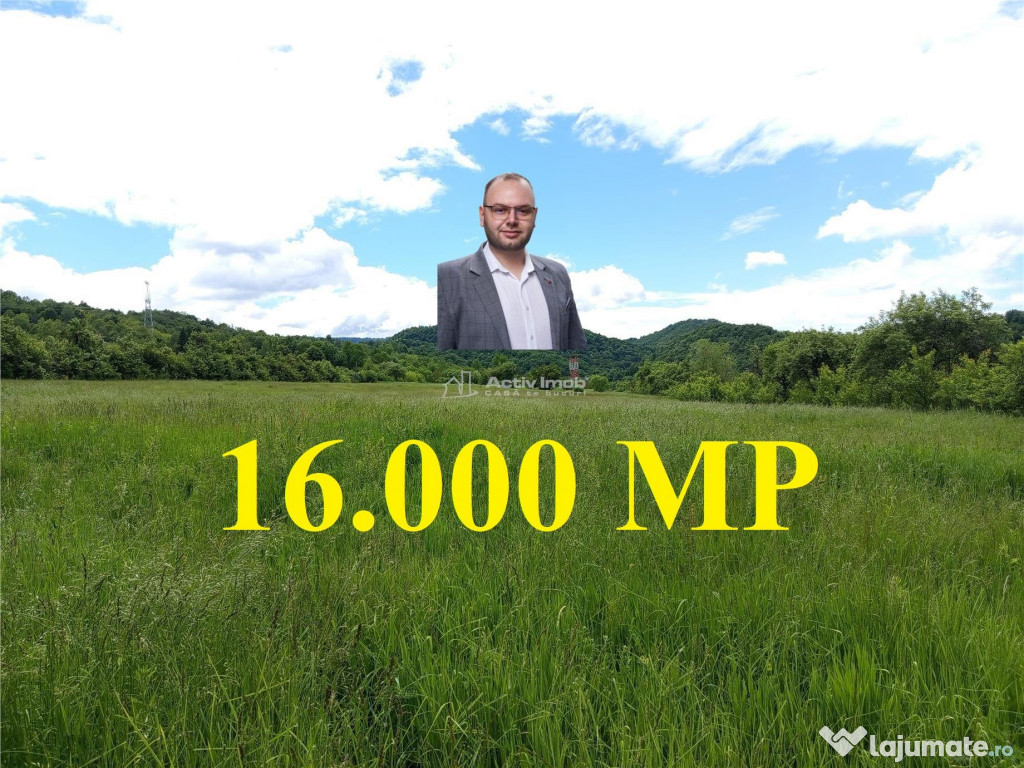 Borlovenii Noi, Teren Drept, 16000mp, la Limita Localitatii
