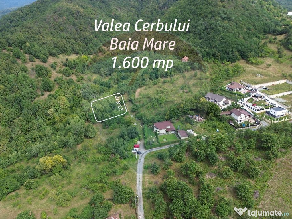 TEREN cu priveliste- Valea Cerbului