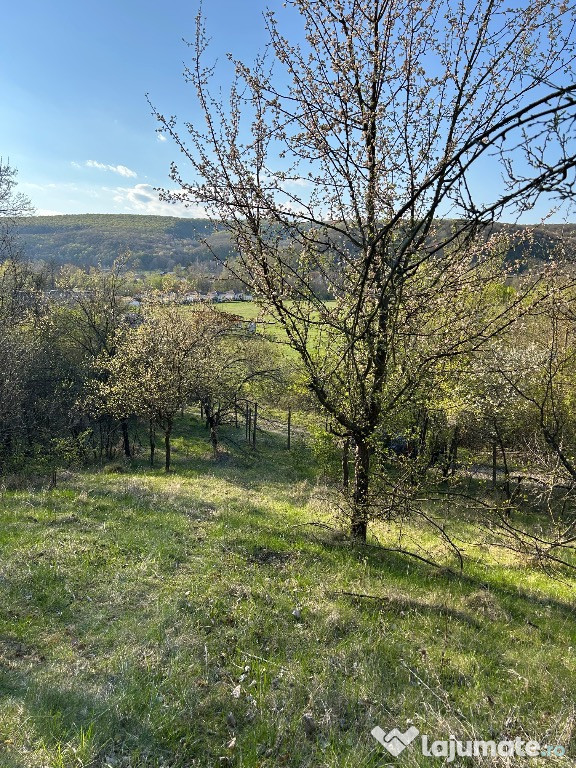 Teren intravilan 1000 mp Mierea, Vernesti
