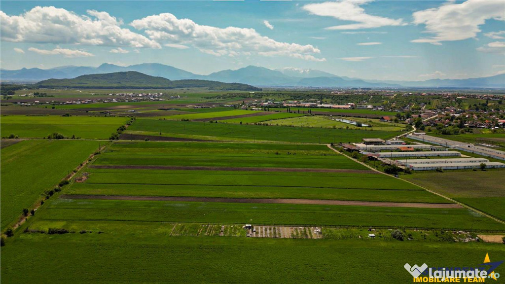 FILM! In areal linistit, acces facil, 5,000 mp teren extravi