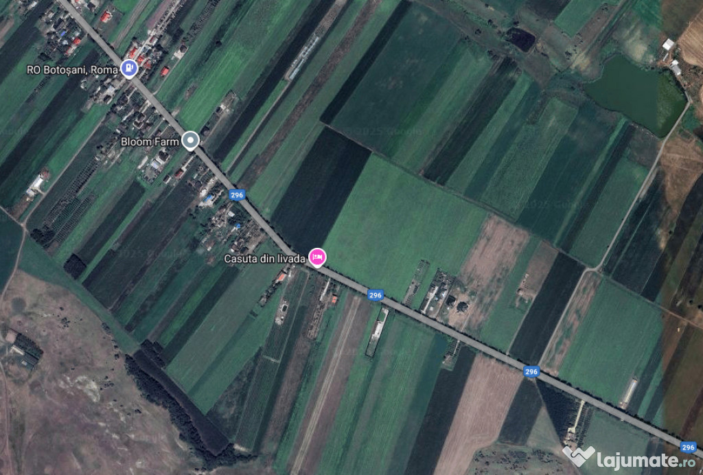 Vand urgent teren intravilan 5000m2 Roma Botosani