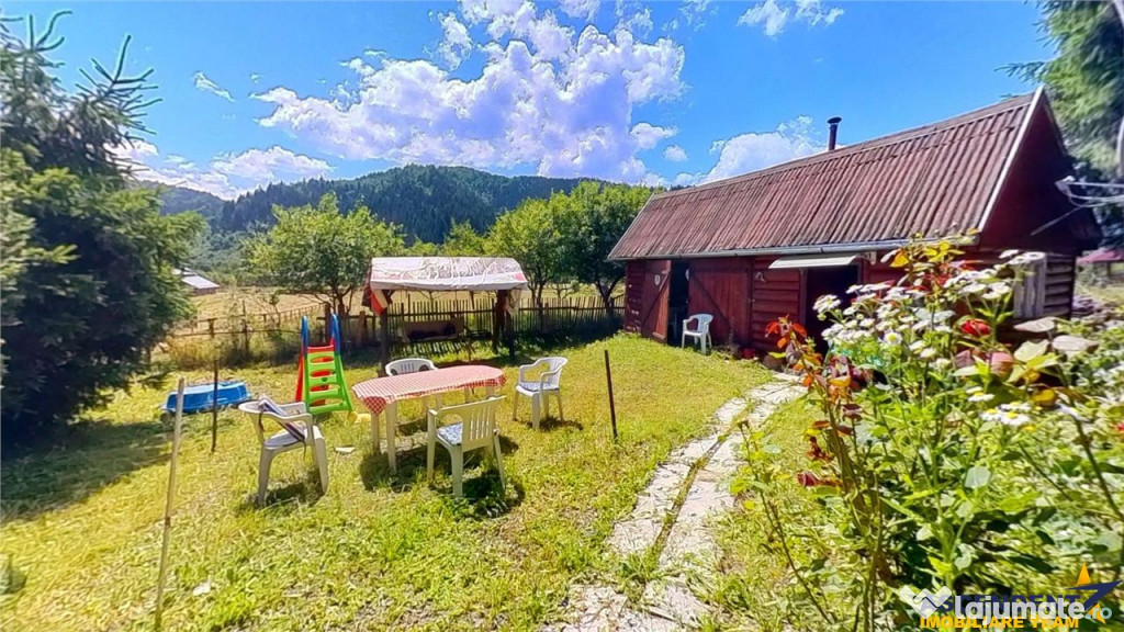 FILM Tur LIVE! Casa de vacanta, intr- o ariere admirabila,Lu