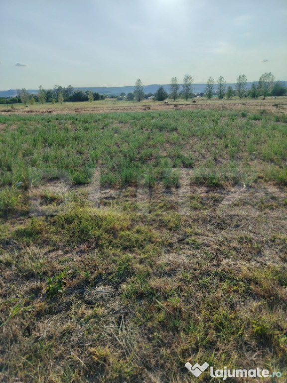 Teren intravilan 2895 mp, Gogosu Dolj