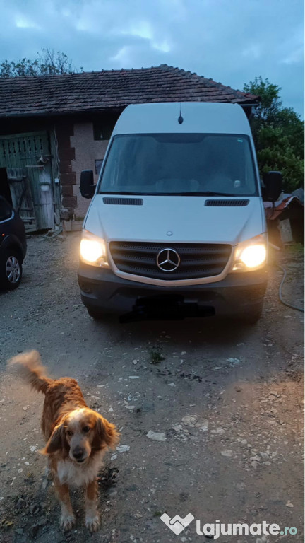 Mercedes sprinter