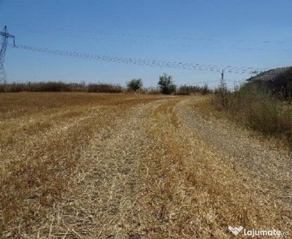 Teren extravilan Cernavoda, ID: R2755634