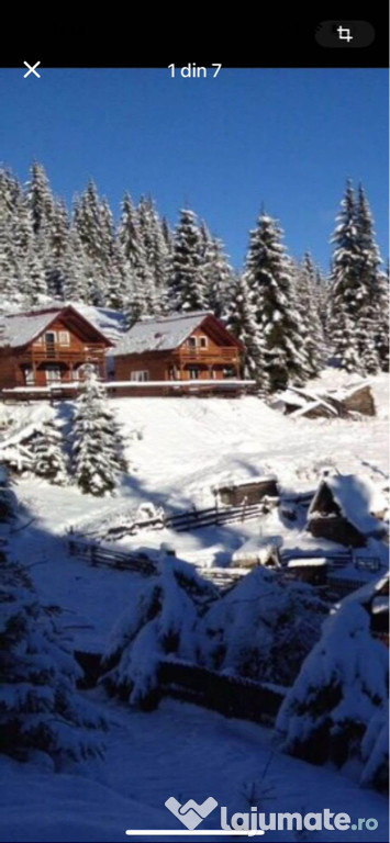 Cabana in muntele Baisorii