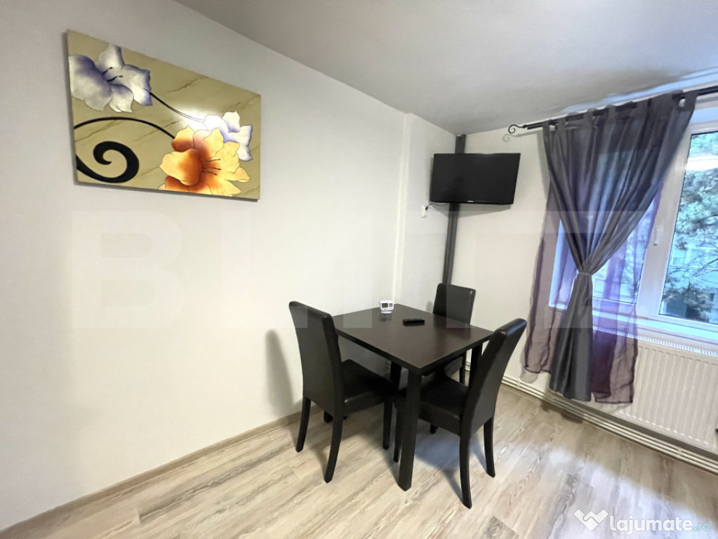 Garsonieră - Etaj 1 - Mobilată - Zona Burdujeni