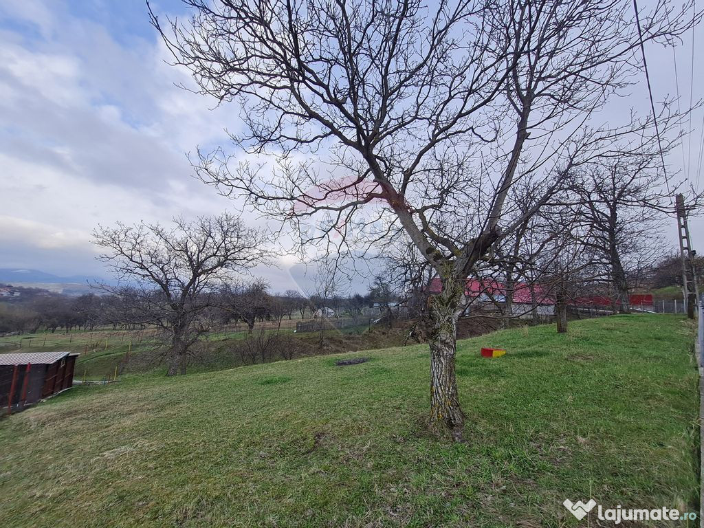 Teren intravilan la Strada Principala in Haulisca