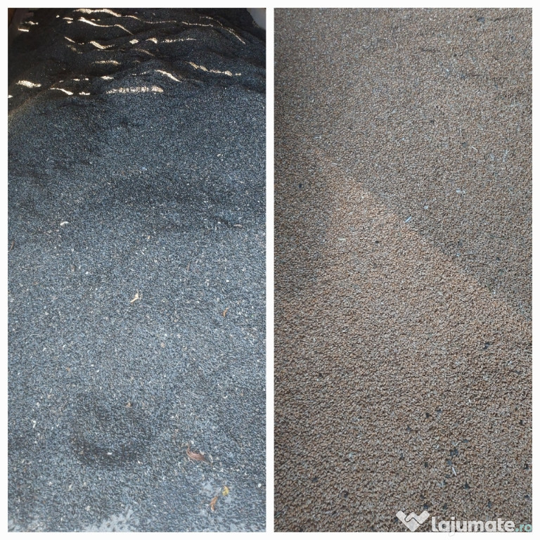 Vând floarea soarelui și grâu