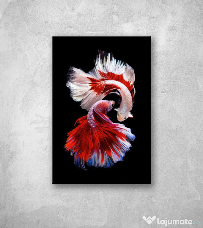 Perch Fish Card A6