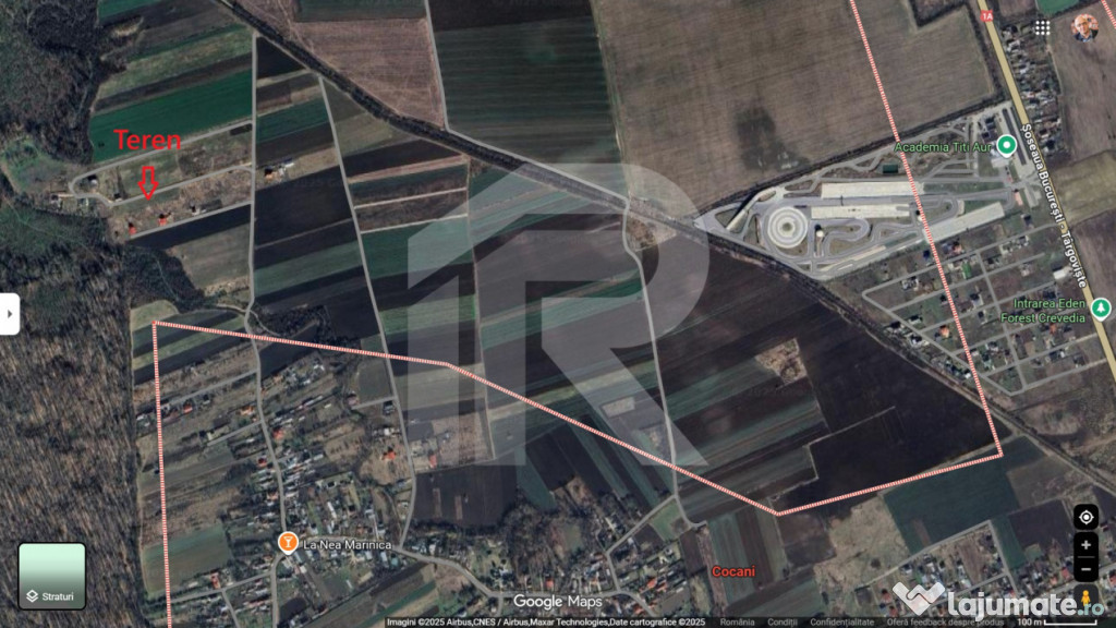 Refugiu la marginea padurii — 1000 mp de liniste in Cocani