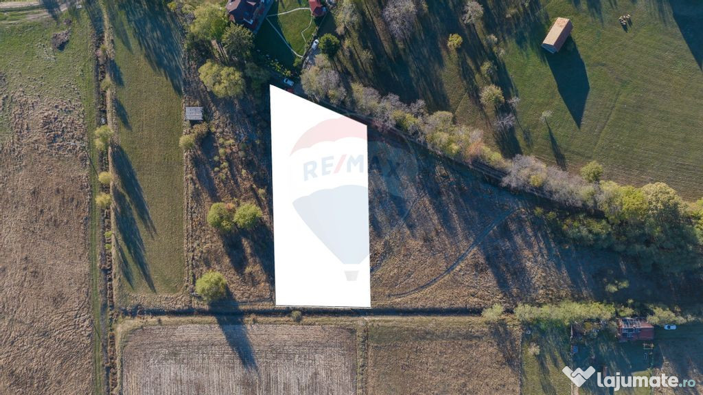 Comision 0% Teren de vânzare, zona Bran - Sohodol, 4000m...