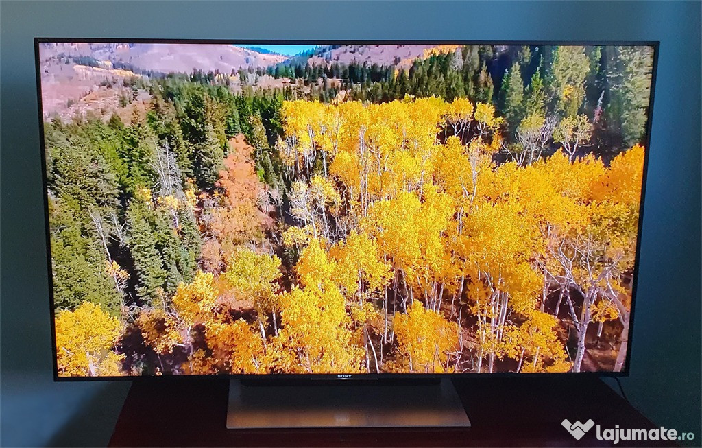 Televizor 4K Sony Bravia 55XE9005 - 138.8 cm, Smart Google TV