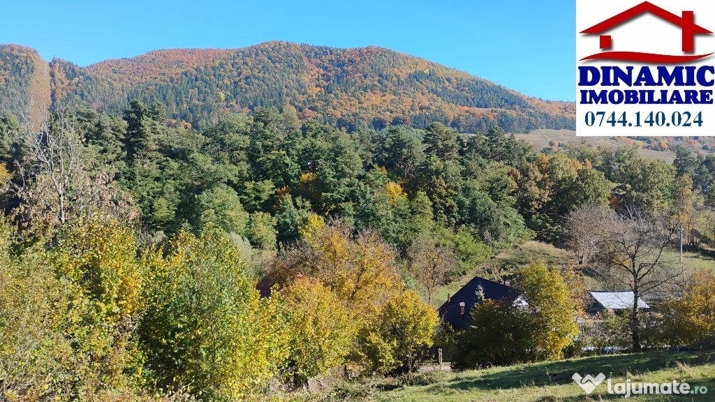 3600 mp teren intravilan, sat Bistrita, 19 Euro/mp