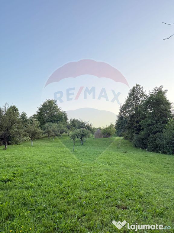 Teren în cea mai turistica localitate din Romania - Breb...