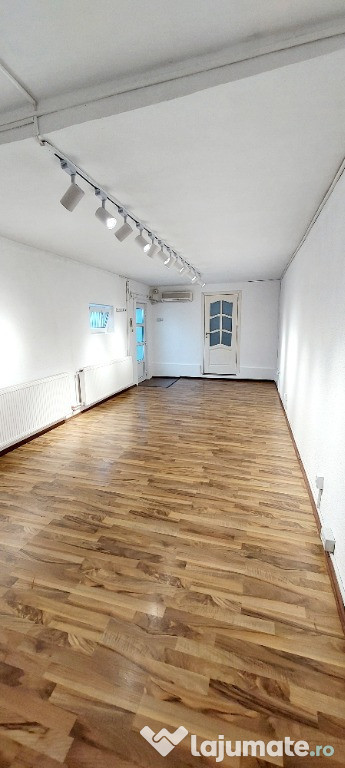 Vila P+1 pretabil firma zona Stefan cel Mare-Dacia