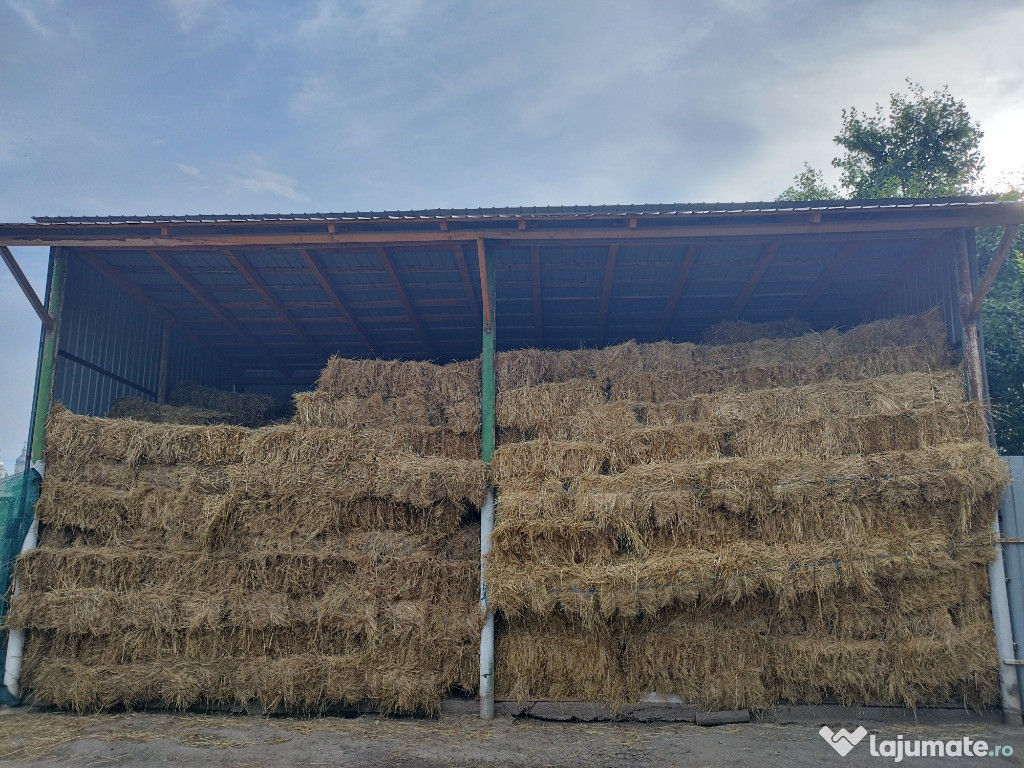 Baloți fân, trifoi prima coasă - Dragomirești Neamț