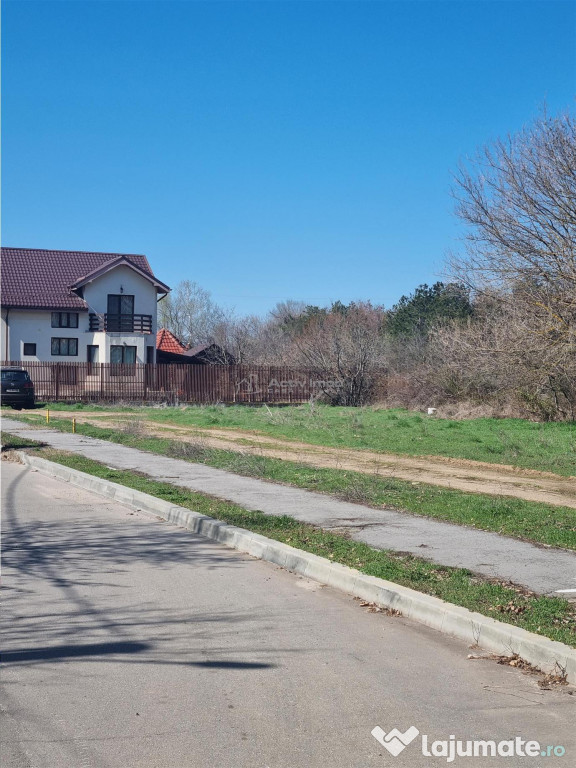 Loturi teren zona SERE Alexandria si Nanov