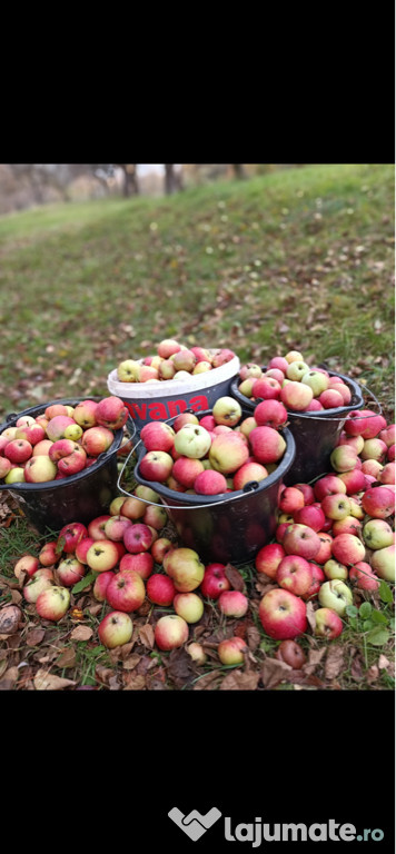 Tuica de mere naturale
