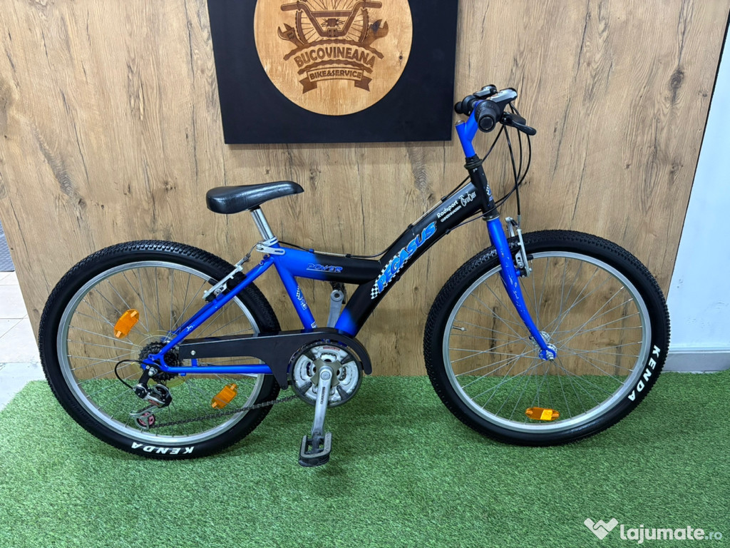Bicicleta Pegasus 24 inch