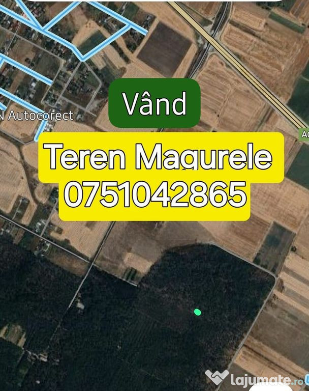 Teren Cornetu langa padure