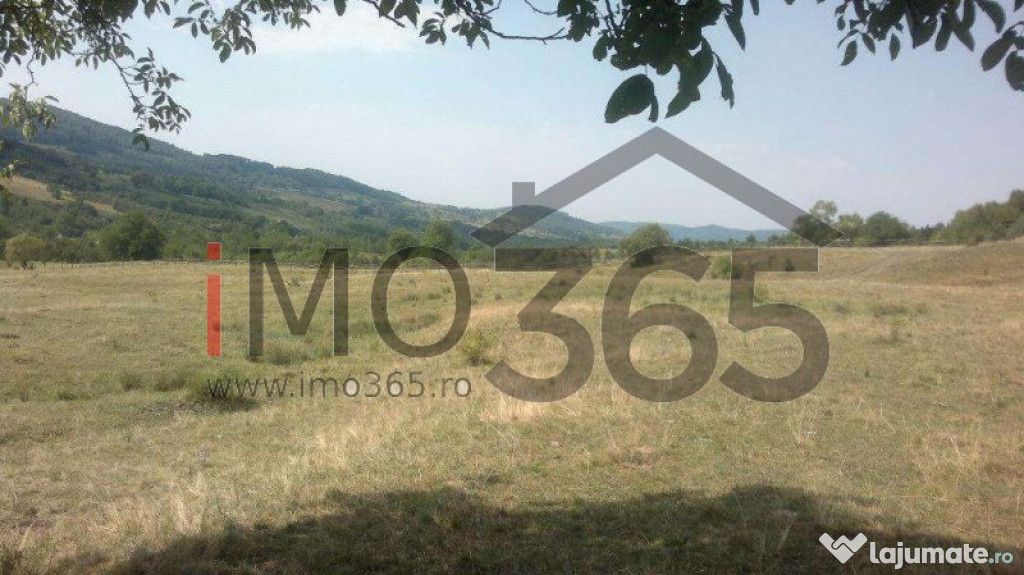 Teren 15 Hectare in sat | Mihaesti | Arges