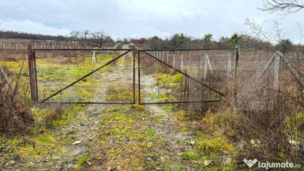 Teren extravilan de vanzare, 1.057 mp, zona Sigmir