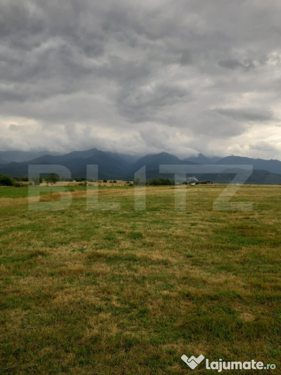 Teren extravilan 8600 mp, Cârțișoara- Coasta lui Nache