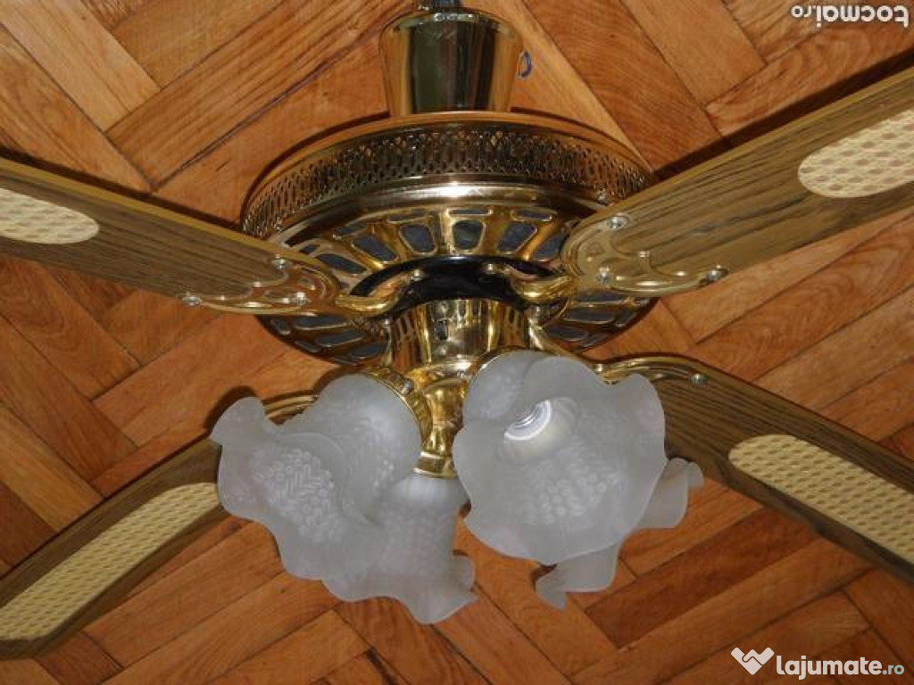 Elicopter de sufragerie