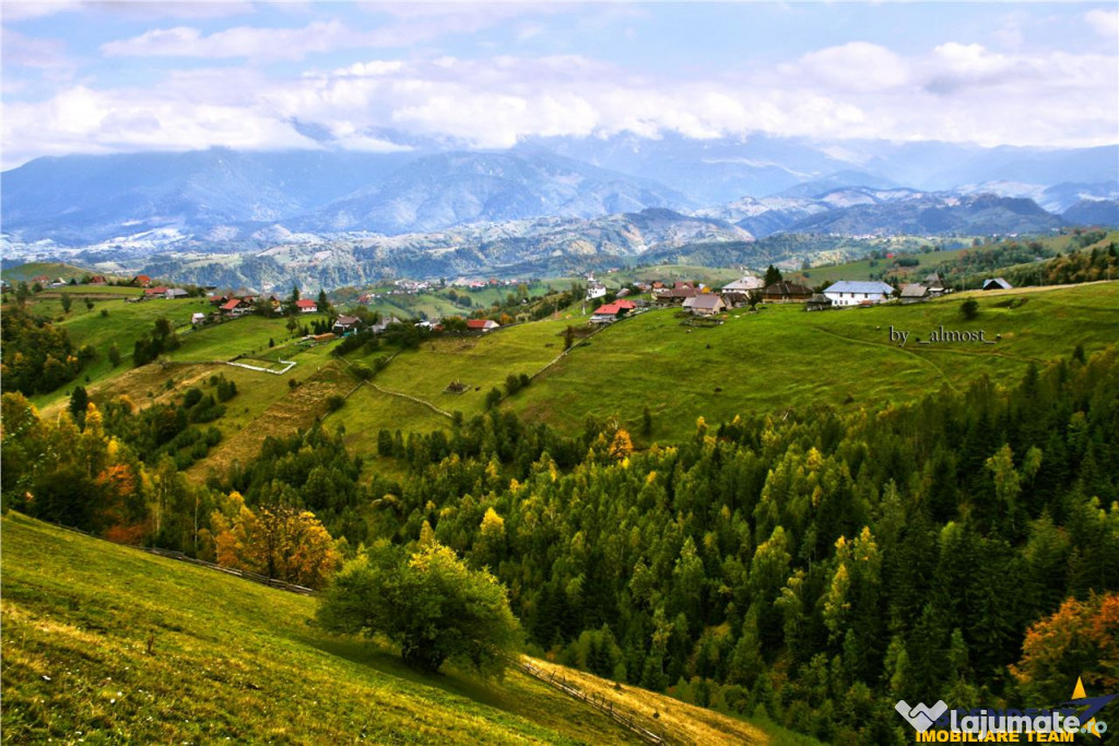 7.000 mp, pozitie spectaculoasa, fara vecini, Fundatica, Bra