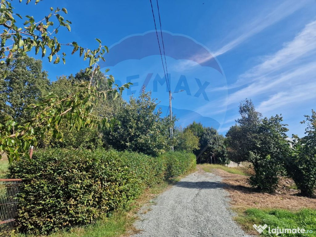 OCAZIE. De vanzare teren în Cicarlau - Strada 1 Mai - su...