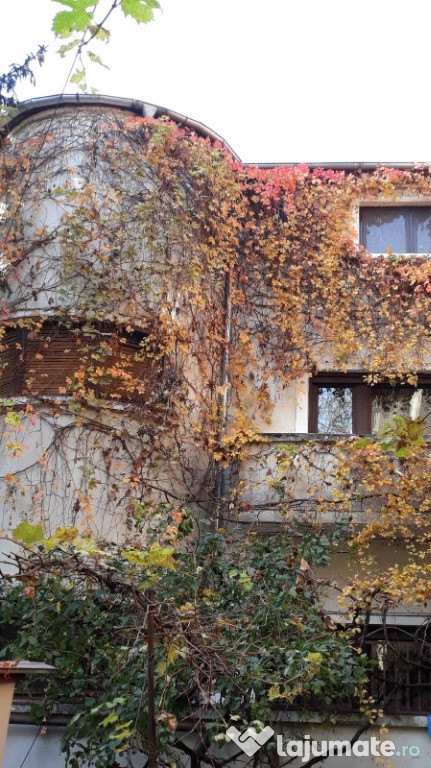 Inchiriere spatiu de birou/activitate profesionala/Bd. Dacia