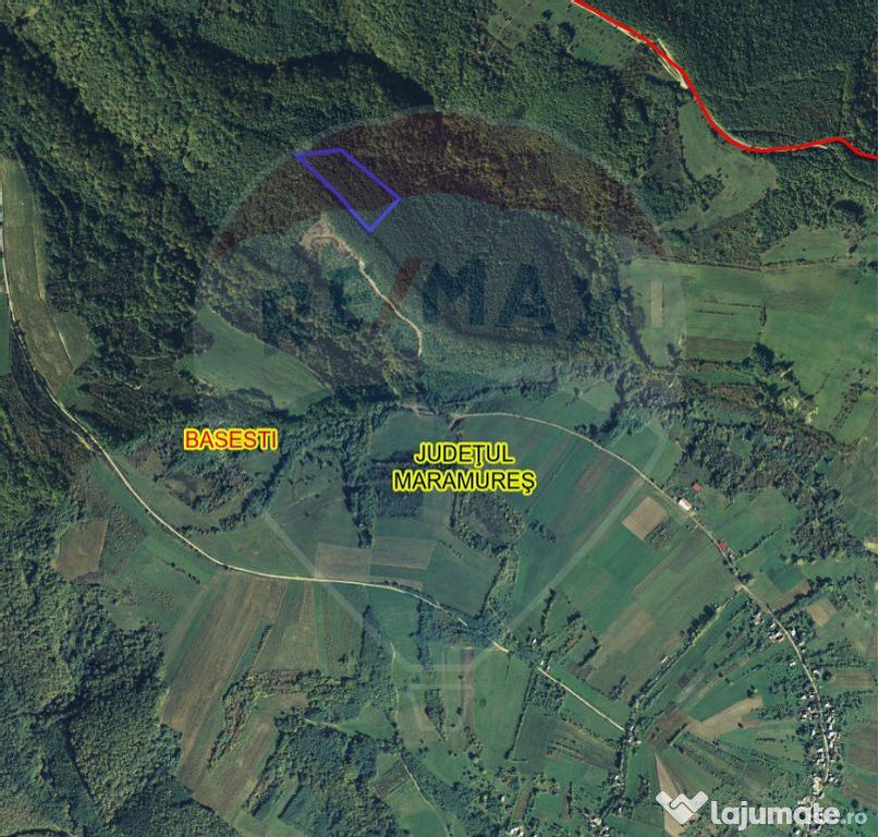 Pădure de vanzare cu zona de cabană Odesti