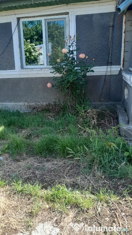 Casa de vânzare în Comuna Nămoloasa