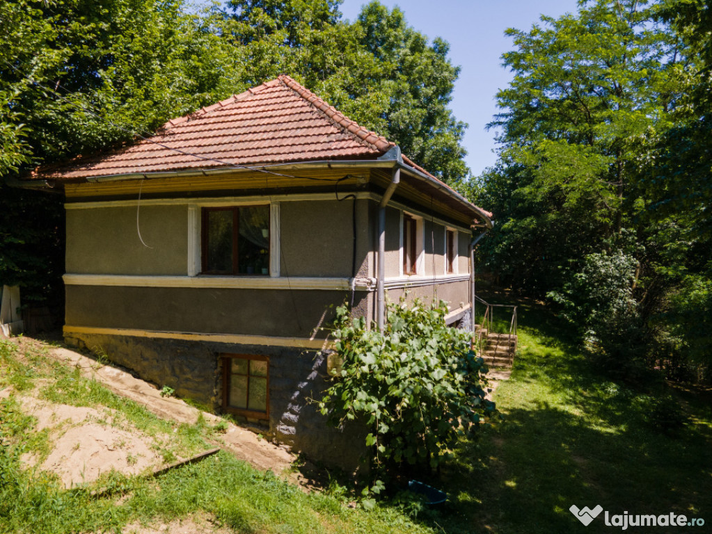 Proprietate cu potențial turistic, în zona Negreni – Buc