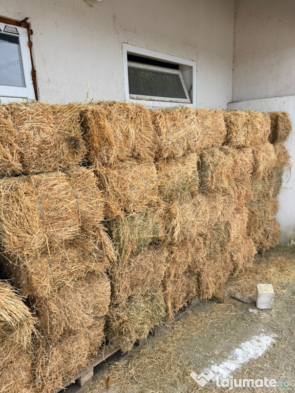 Vand Baloti Lucerna si Paie