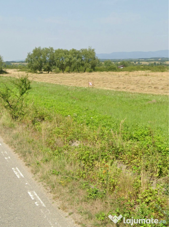 Teren agricol , 2000mp, Caransebeș , Caraș-Severin