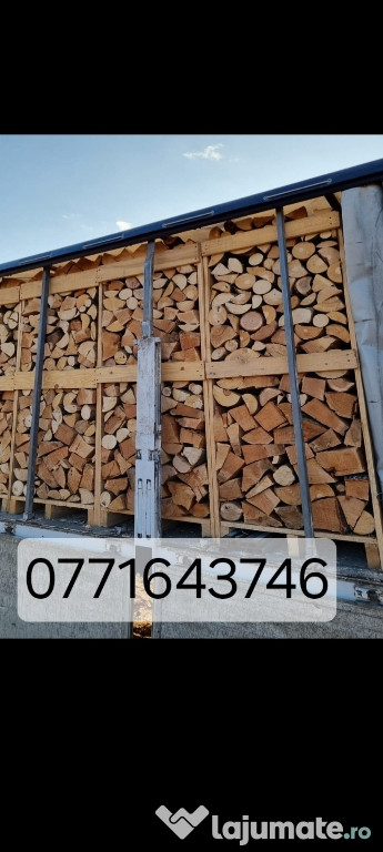 Lemne de foc fag paleti