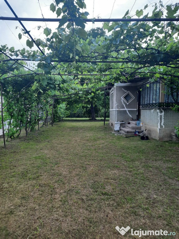 Teren intravilan, casa demolabila in Dumbravesti, Prahova