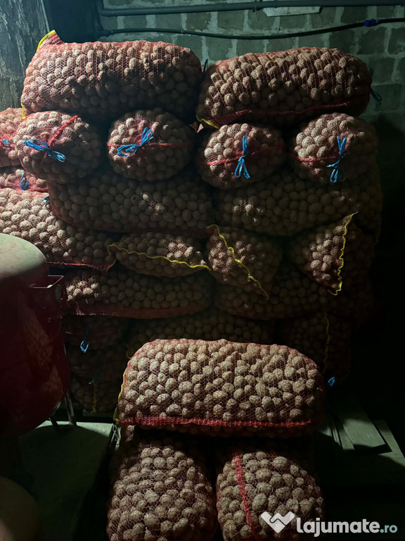 De vânzare Cartofi mic