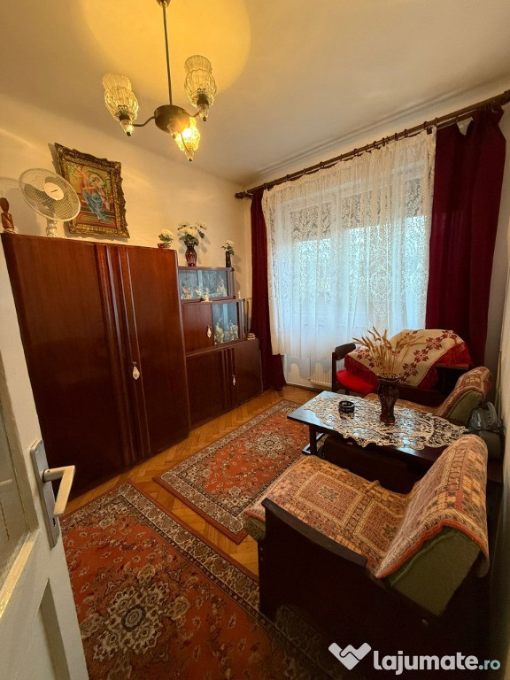 Ana Ipatescu, 1 camera