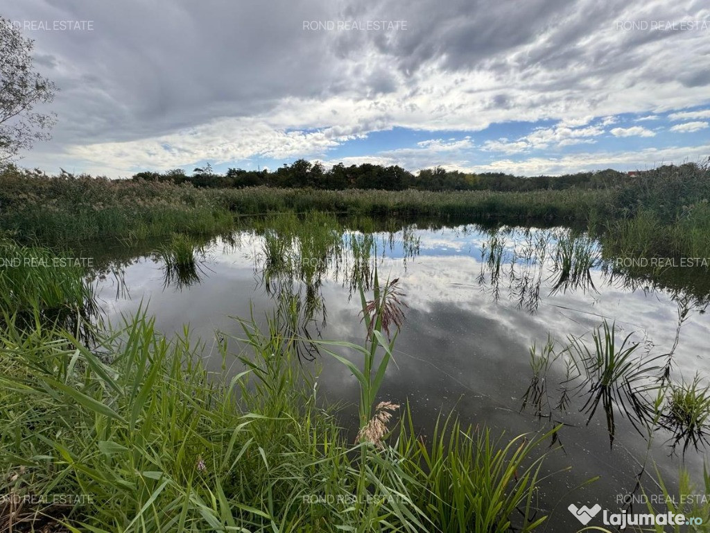 Teren cu deschidere la lac strada Orhideelor- conectare la curent