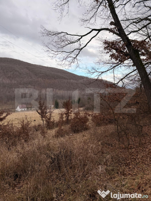 De vanzare Teren extravilan 3300mp - padure, loc. Salicea, j