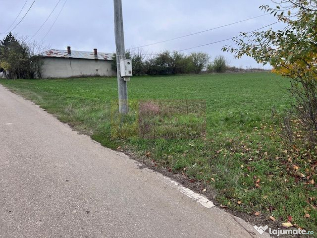 Teren Comana- strada Funieru.